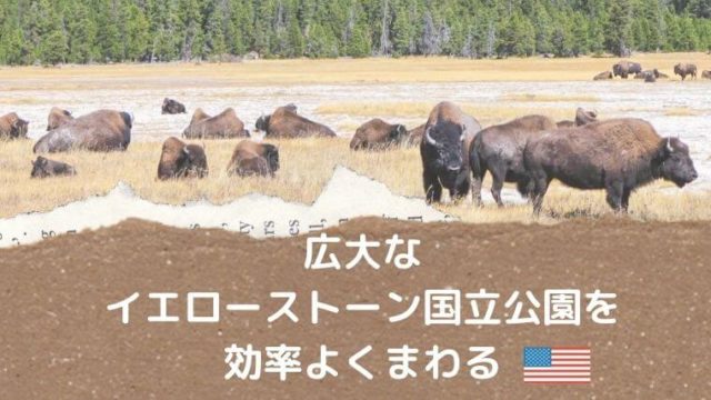 旅前に読んで 広大なイエローストーン国立公園を楽しみ尽くすために Color Your Map 旅前に読んで 広大なイエローストーン国立公園を楽しみ尽くすために Color Your Map