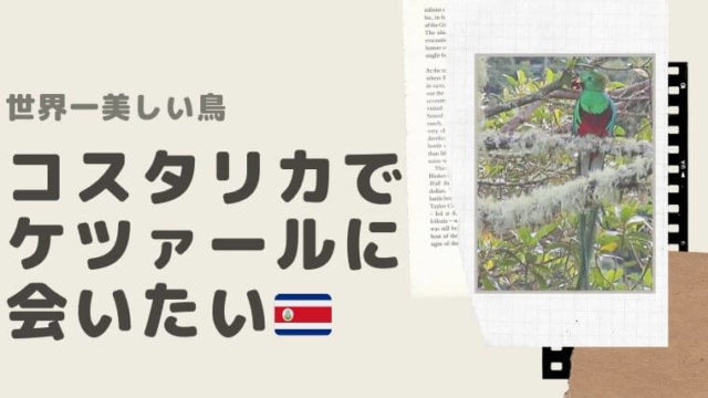 地図で説明 コスタリカでケツァールに会える場所 確率を上げる3大条件 Color Your Map 地図で説明 コスタリカでケツァールに会える場所 確率を上げる3大条件 Color Your Map