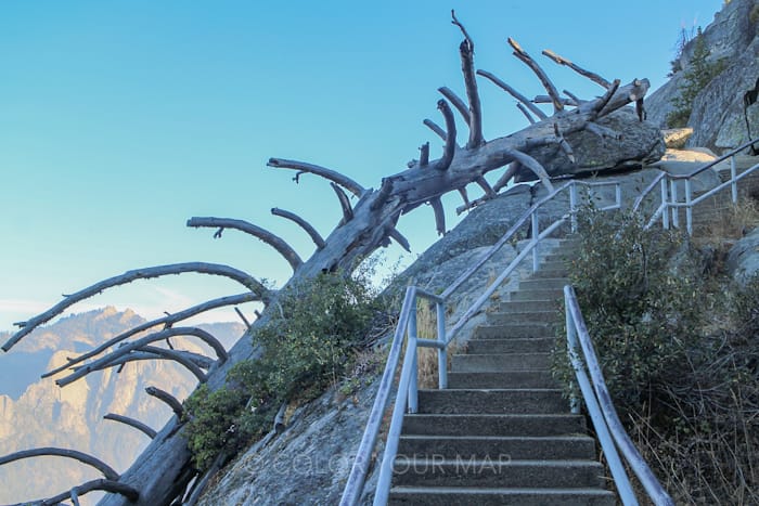 セコイア国立公園のMoro Rock（モロ・ロック）へ登る石段