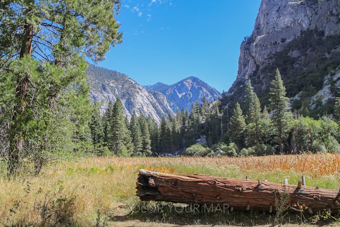 キングスキャニオン国立公園を奥に進むとあるZumwalt Meadow（ズムウォルト・メドウ）トレッキング