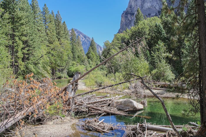 キングスキャニオン国立公園を奥に進むとあるZumwalt Meadow（ズムウォルト・メドウ）トレッキング