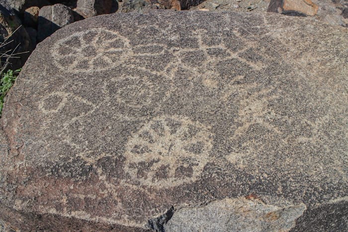 サワロ国立公園のSignal Hillで見られるPetroglyphs（ペトログリフ）