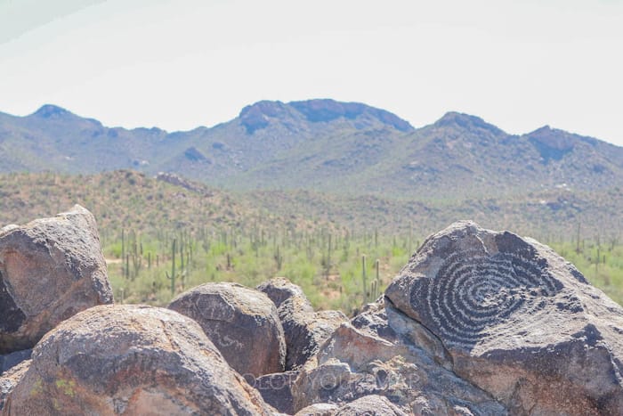 サワロ国立公園のSignal Hillで見られるPetroglyphs（ペトログリフ）