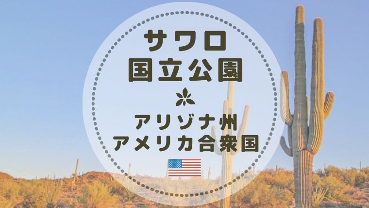巨大サボテン サワロ国立公園のおすすめ観光スポットと人気トレッキング Color Your Map 巨大サボテン サワロ国立公園のおすすめ観光スポットと人気トレッキング Color Your Map