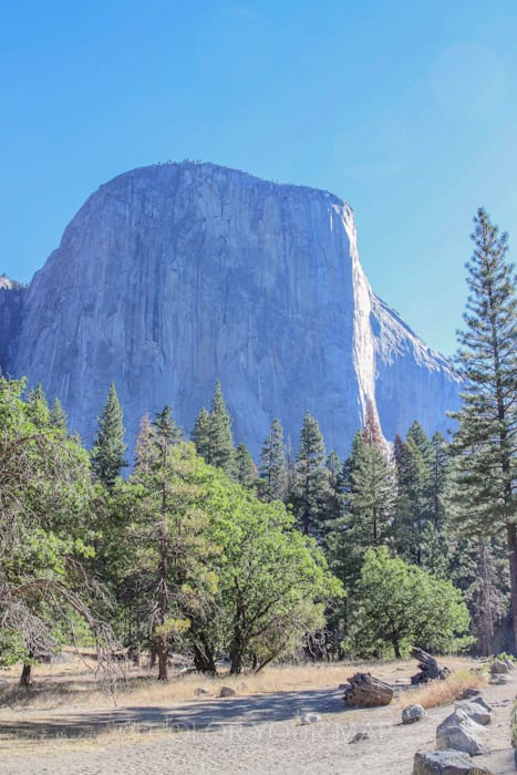 El Capitan（エル・キャピタン）は、ヨセミテ国立公園の西側（サンフランシスコ方面）からYosemite Valley（ヨセミテ渓谷）に入ると、左手側に現れる巨大な一枚岩