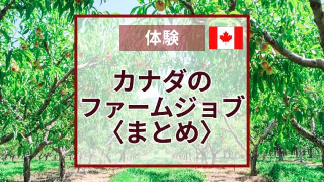 チェリーピッキング｜カナダBC州で1ヶ月間ファームジョブを経験