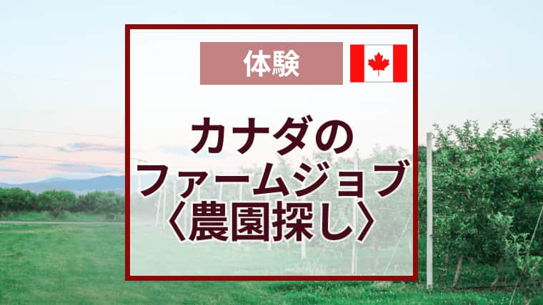 チェリーピッキングの仕事探し｜カナダでいい農園に出会う方法