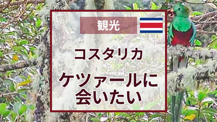 地図あり！コスタリカでケツァールに会える場所｜確率を上げる3条件