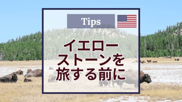 旅前に読んで！広大なイエローストーン国立公園を楽しみ尽くす方法